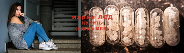 спиды Богданович
