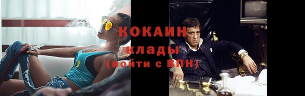 спиды Богданович