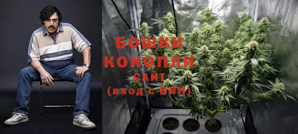 спиды Богданович